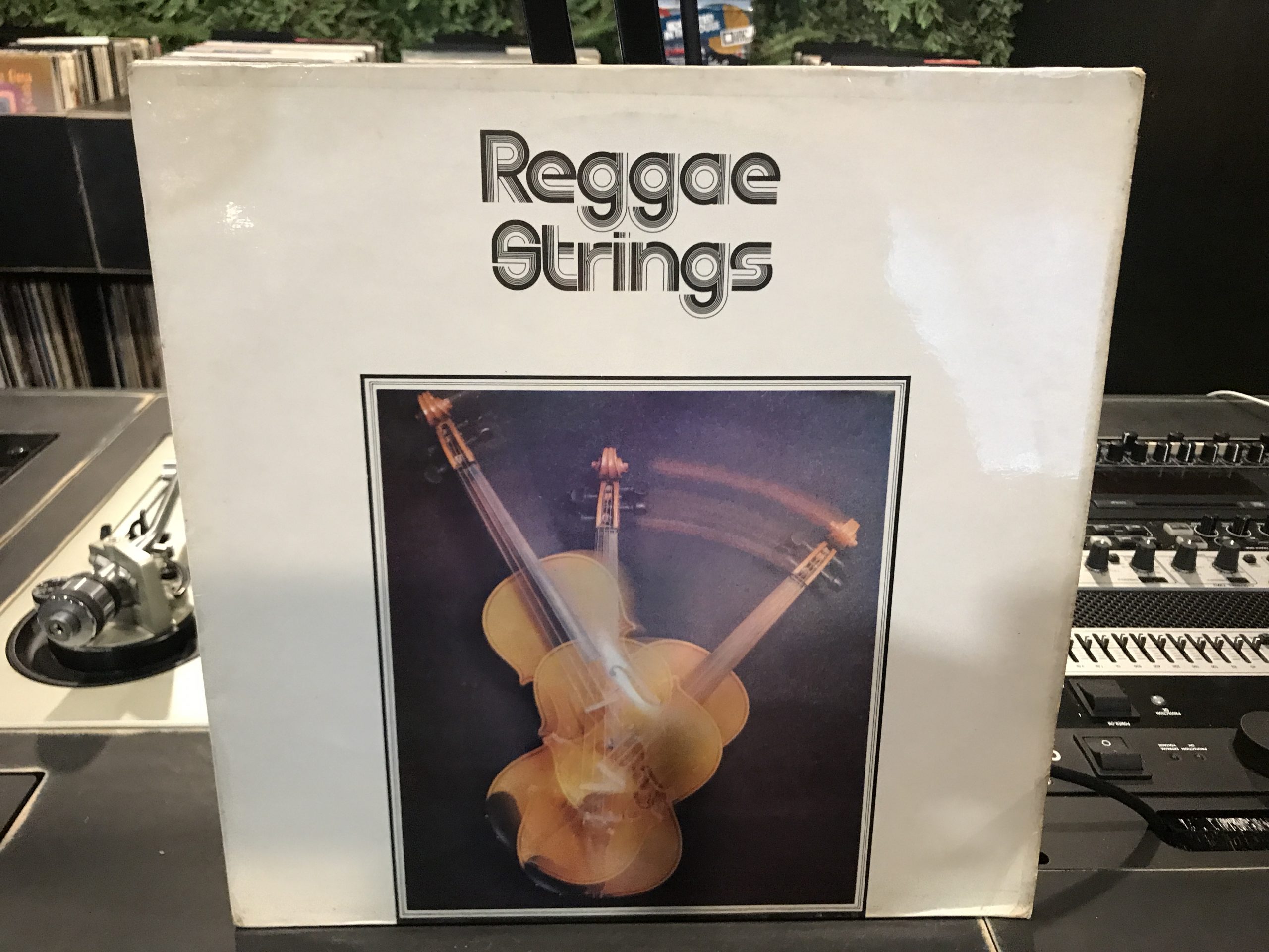 Reggae Strings